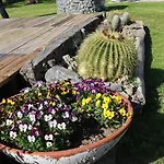 Gasthuis Il Giardino Di Mary 3*