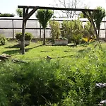 Il Giardino Di Mary Pompeï