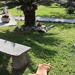Il Giardino Di Mary Pompeï