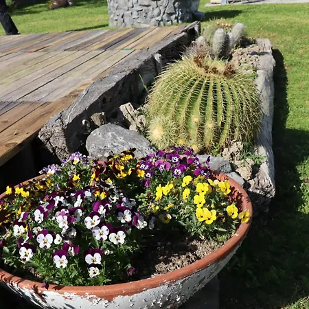 Πανσιόν Il Giardino Di Mary 3*