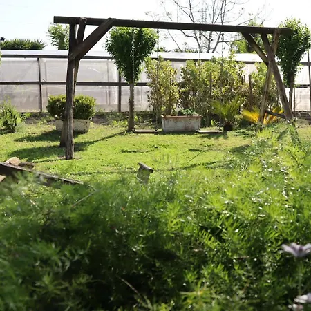 Il Giardino Di Mary Pompeja