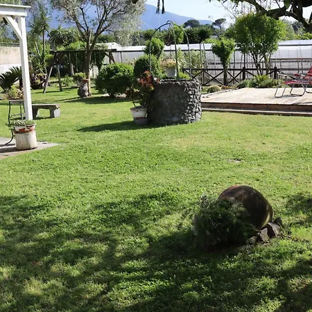 Guest house Il Giardino Di Mary - Near Ruins 3*