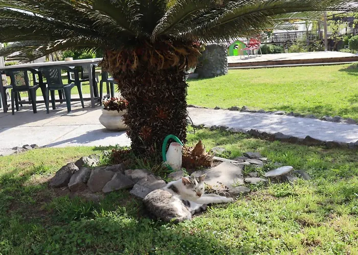 Guest house Il Giardino Di Mary 4*